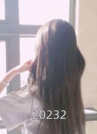 20232小说