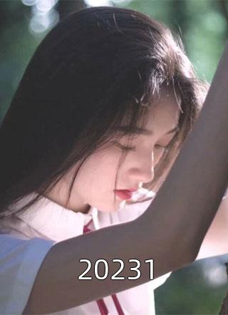20231小说