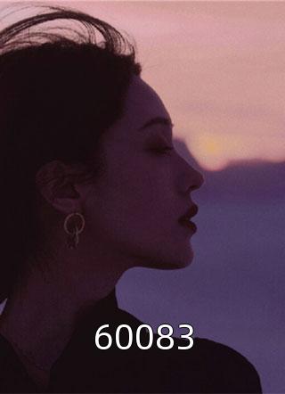 60083小说