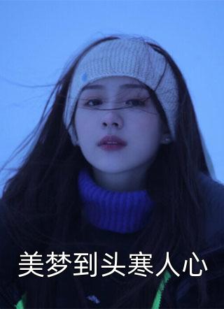 美梦到头寒人心小说