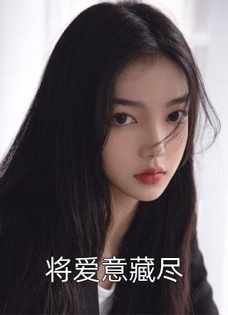 将爱意藏尽小说